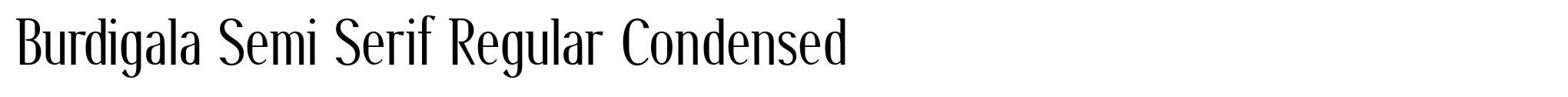 Burdigala Semi Serif Regular Condensed image